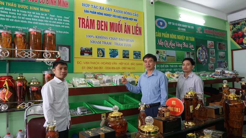 Huyện Hiệp Hòa nỗ lực nâng cao giá trị nông sản, phát triển kinh tế.