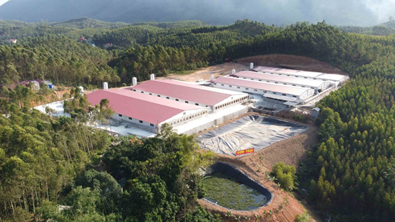 Trang trại chăn nuôi của ông Tạ Xuân Khang, xã Quang Yên nhiều lần bị xử phạt.
