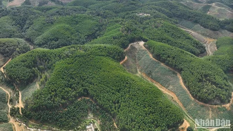 Quỹ Bảo vệ và Phát triển rừng tỉnh Đắk Nông sử dụng phương tiện Máy bay không người lái để theo dõi, quản lý dữ liệu về diện tích rừng chi trả DVMTR và trồng rừng thay thế