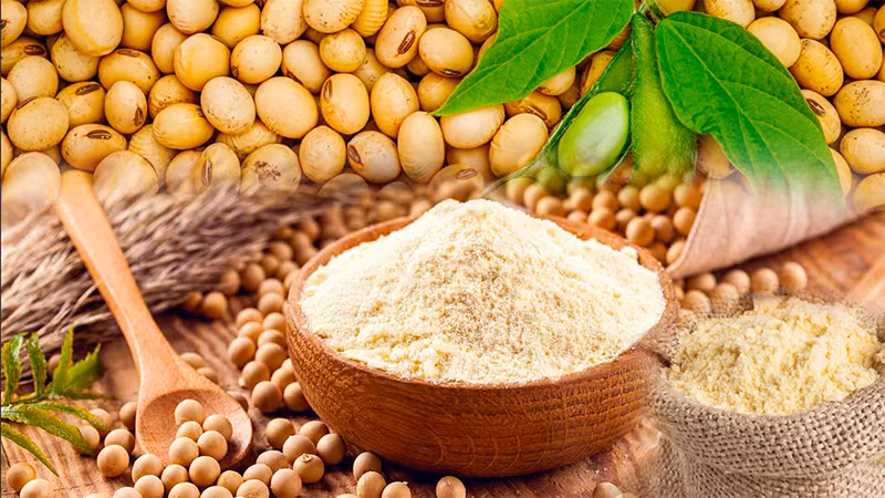 Giá khô đậu tương đột ngột tăng vọt, doanh nghiệp chăn nuôi bất an