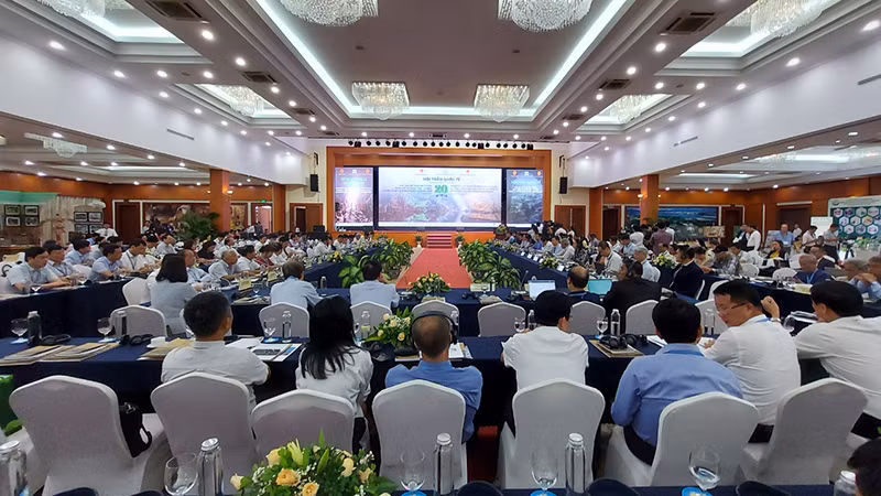 Quang cảnh Hội thảo.