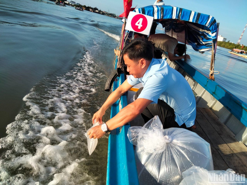 Thả giống thủy sản về tự nhiên tại đầm Đông Hồ, thành phố Hà Tiên, tỉnh Kiên Giang. 