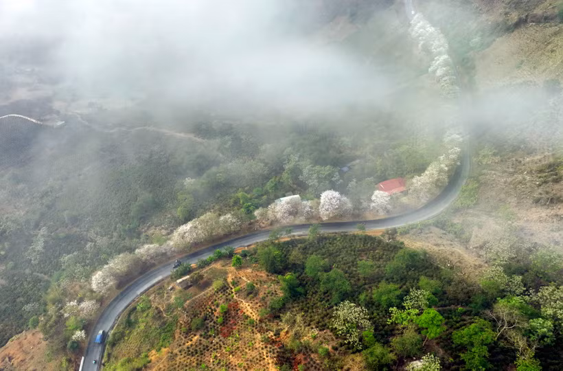 Ngỡ lạc chốn thần tiên trên những cung đường Tây Bắc mùa hoa ban nở.