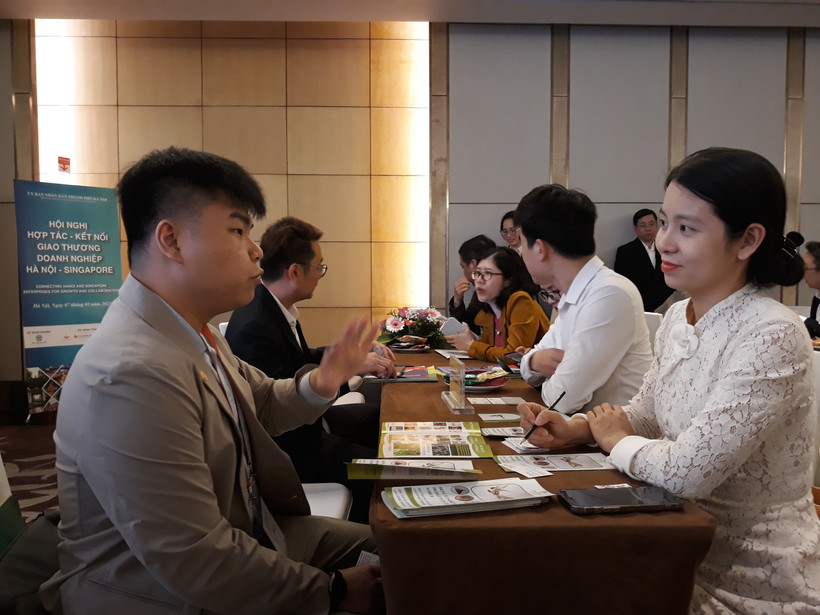 Doanh nghiệp Hà Nội và Singapore trao đổi thông tin hợp tác tại hội nghị.