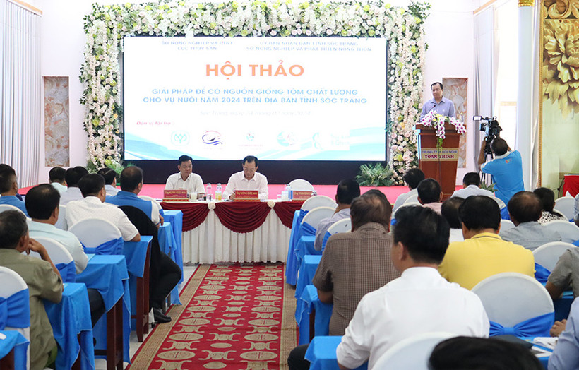 Tiến sĩ Trần Đình Luân - Cục Trưởng Cục Thủy Sản thông tin tình hình nuôi tôm năm 2024.