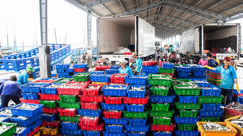Quy hoạch hàng hóa thông qua Cảng biển Sóc Trăng từ 30,7 triệu tấn đến 41,2 triệu tấn.