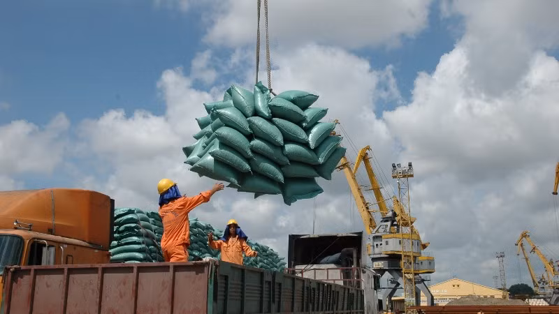 Xuất khẩu gạo sang Trung Quốc sụt giảm mạnh. 