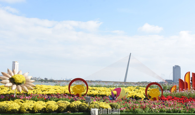 Giọt nhớ thiên thanh với hoa cỏ mùa xuân thành phố.