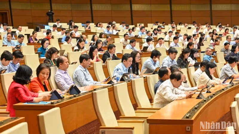 Các đại biểu dự phiên họp. (Ảnh: BÙI GIANG) 