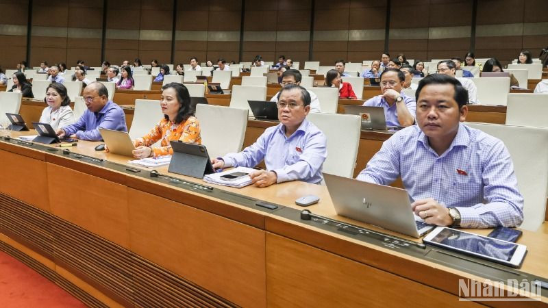 Các đại biểu Quốc hội làm việc tại hội trường. (Ảnh: DUY LINH)
