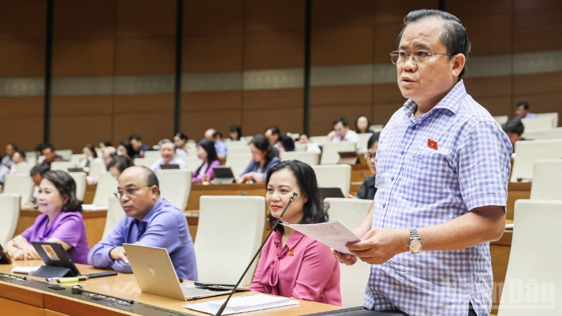 Đại biểu Nguyễn Tâm Hùng (Bà Rịa-Vũng Tàu) phát biểu. (Ảnh: DUY LINH) 