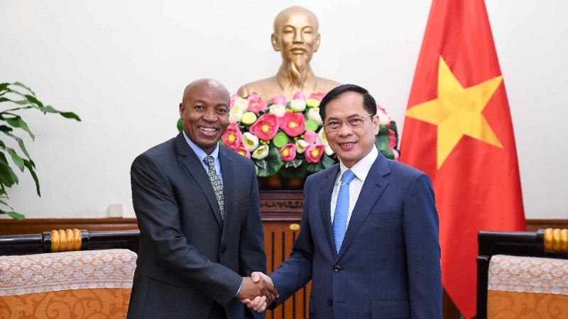 Phó Thủ tướng, Bộ trưởng Ngoại giao Bùi Thanh Sơn tiếp Thứ trưởng Ngoại giao và Hợp tác Đông Phi Tanzania Cosato David Chumi.