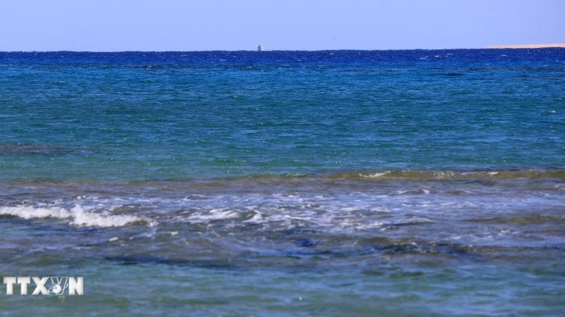 Ảnh minh họa. (Ảnh: THX/TTXVN)