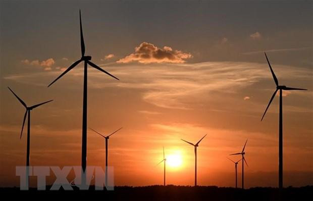 Nhà máy điện gió tại Brandenburg, Đức. (Ảnh: AFP/TTXVN)