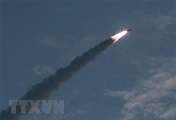 Ảnh minh họa. (Nguồn: AFP/TTXVN) 