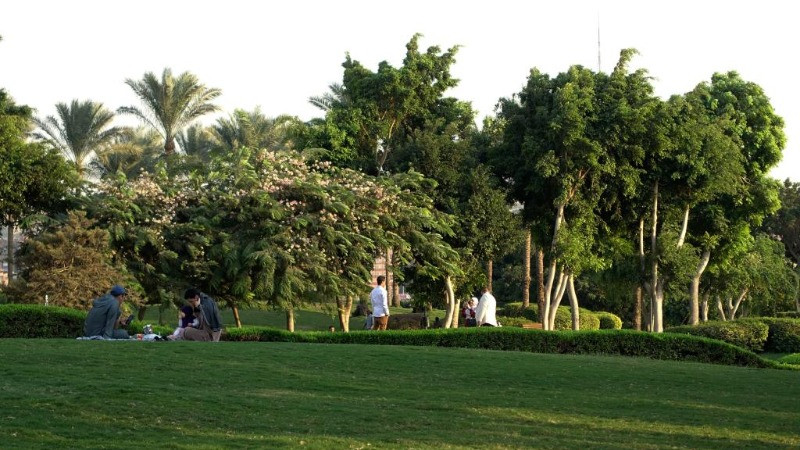 Mảng xanh tại Công viên Al-Azhar ở Cairo, Ai Cập. (Ảnh minh họa: Xinhua) 