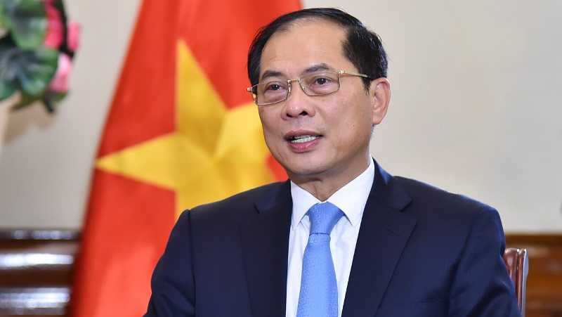 Phó Thủ tướng, Bộ trưởng Ngoại giao Bùi Thanh Sơn. (Ảnh: Báo Thế giới và Việt Nam)