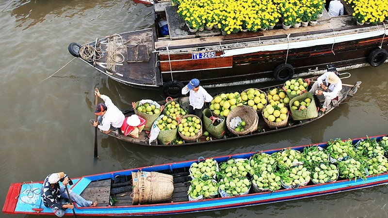 Hoạt động mua bán trái cây ở miệt vườn sông nước Nam Bộ luôn hấp dẫn du khách. (Ảnh: NGỌC MAI)