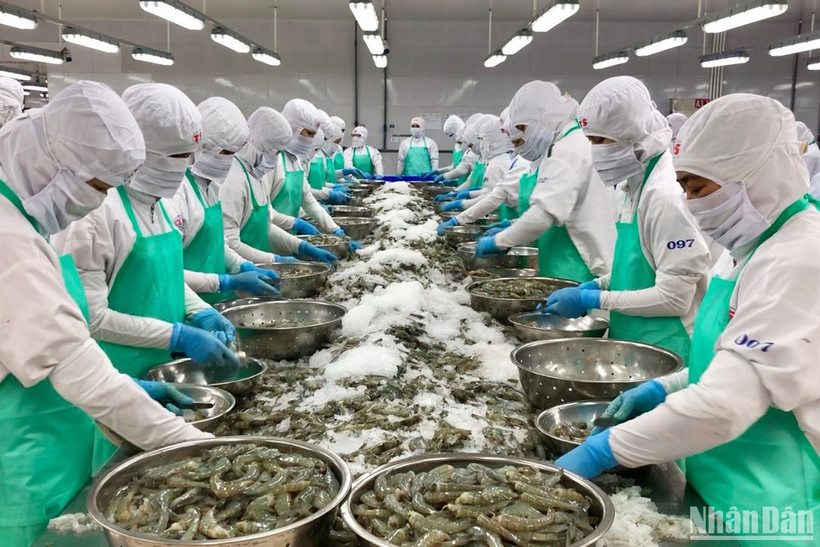 Kim ngạch xuất khẩu thủy sản đạt kỷ lục vào năm 2022.