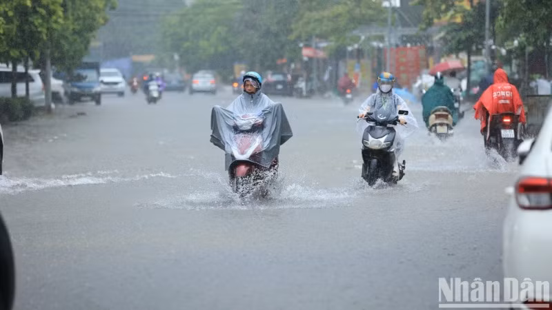 (Ảnh: THÀNH ĐẠT)