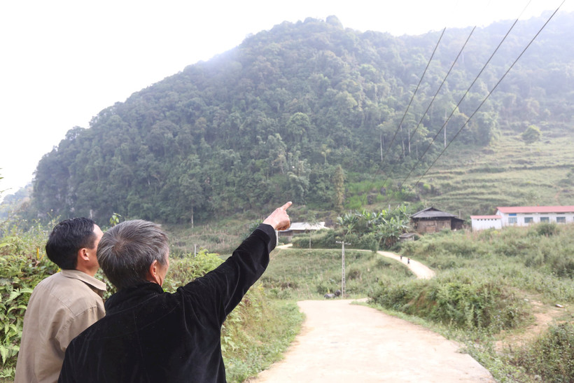 Già làng tự hào chỉ tay vào những tán rừng đã tồn tại 30 năm.