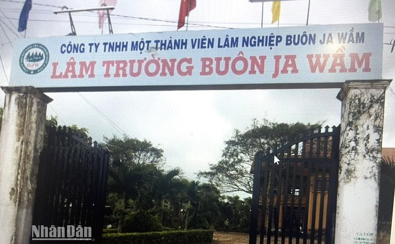 Trụ sở Lâm trường Buôn Ja Wầm.