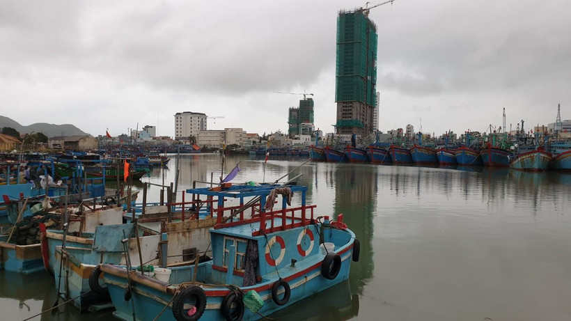 Bộ Chỉ huy Bộ đội Biên phòng tỉnh Bình Định đã phối hợp các đơn vị, gia đình các chủ tàu thông báo cho các thuyền trưởng tàu thuyền đang hoạt động trên biển biết vị trí và hướng di chuyển của bão để chủ động phòng tránh.