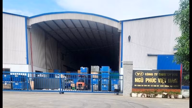 Công ty Trách nhiệm hữu hạn Cơ khí Ngũ Phúc Việt Nam ở cụm công nghiệp Cao An (Cẩm Giàng) bị phạt 264 triệu đồng.