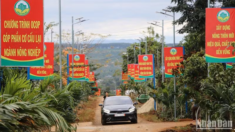 Tuyến đường nông thôn mới kiểu mẫu tại bon Đắk Láp được Văn phòng điều phối xây dựng nông thôn mới tỉnh Đắk Nông phối hợp Chi hội nhà báo Phóng viên thường trú, Hội Nhà báo tỉnh Đắk Nông tổ chức bàn giao cuối năm 2023.