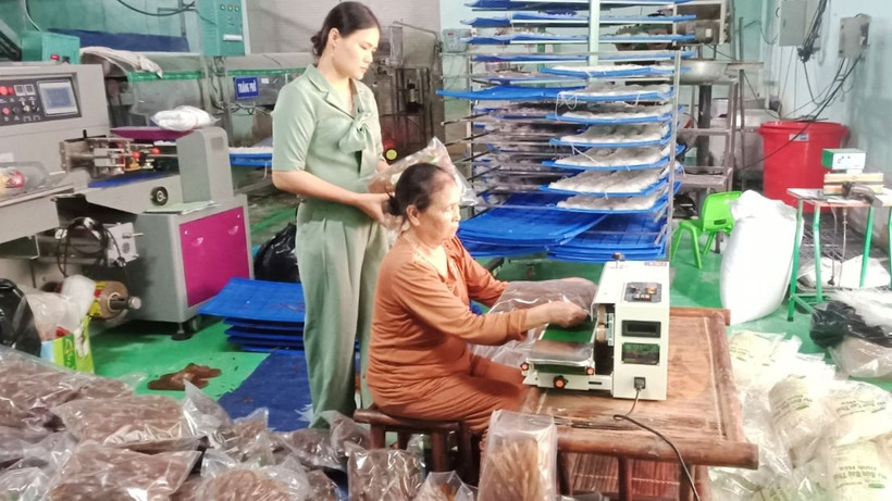 Đóng gói bún khô, phở khô tại Hợp tác xã Tâm Trà Thái.