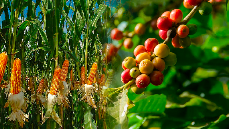 Dòng tiền đầu tư đạt mức cao kỷ lục từ đầu năm