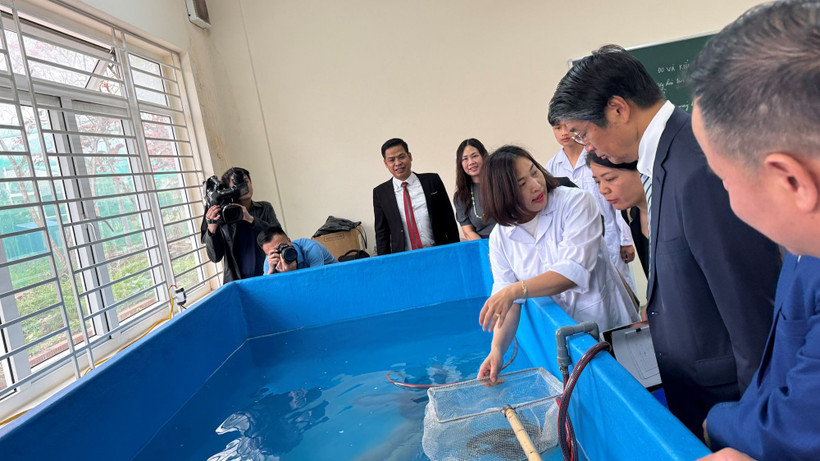 Lồng lưới thực hành nuôi trồng thủy sản được bàn giao cho Trường cao đẳng Thủy sản và Công nghệ thực phẩm Hải Phòng. (Ảnh: ĐSQ Nhật Bản)