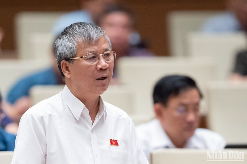 Đại biểu Nguyễn Anh Trí phát biểu ý kiến tại hội trường sáng 29/5. (Ảnh: ĐĂNG KHOA)
