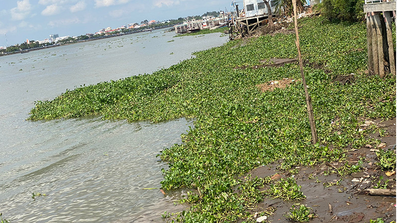 Hiện trạng nơi sụt lún bờ sông Cổ Chiên.