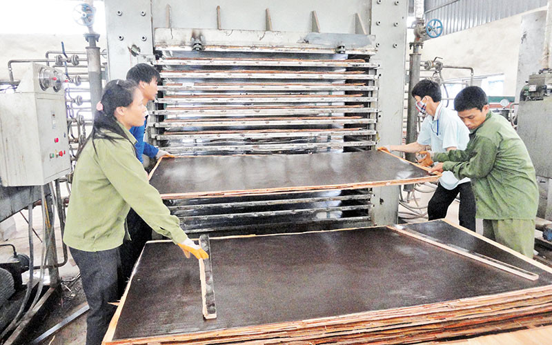 Các hộ gia đình ở xã Minh Sơn, huyện Hữu Lũng mở xưởng chế biến, ép tấm gỗ xuất khẩu. 
