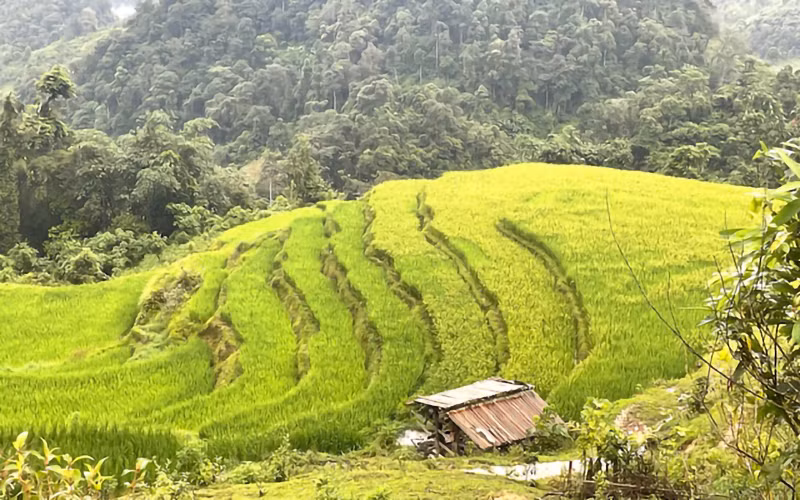 Cảnh quan hùng vĩ và tươi đẹp của vùng Đông Bắc luôn thu hút khách du lịch.