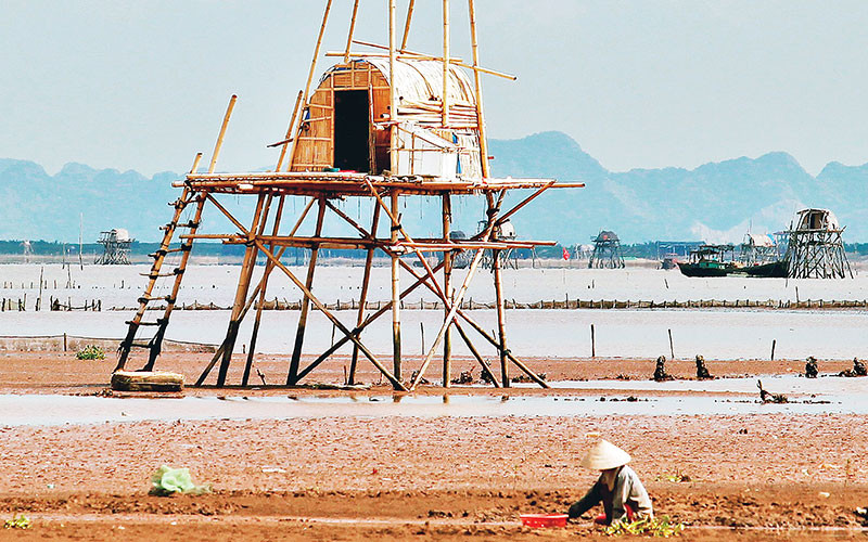 Nuôi tôm, nuôi ngao làm giàu ở vùng bãi bồi ven biển Kim Sơn.