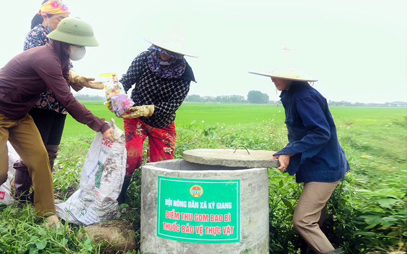 Hội viên Hội Nông dân xã Kỳ Giang, huyện Kỳ Anh, tỉnh Hà Tĩnh thu gom vỏ thuốc bảo vệ thực vật trên đồng ruộng. (Ảnh PHAN LÝ)