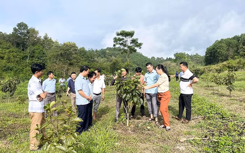Lãnh đạo huyện Na Rì (Bắc Kạn) cùng người dân kiểm tra mô hình trồng cây ăn quả trên địa bàn. (Ảnh THANH LỘC)