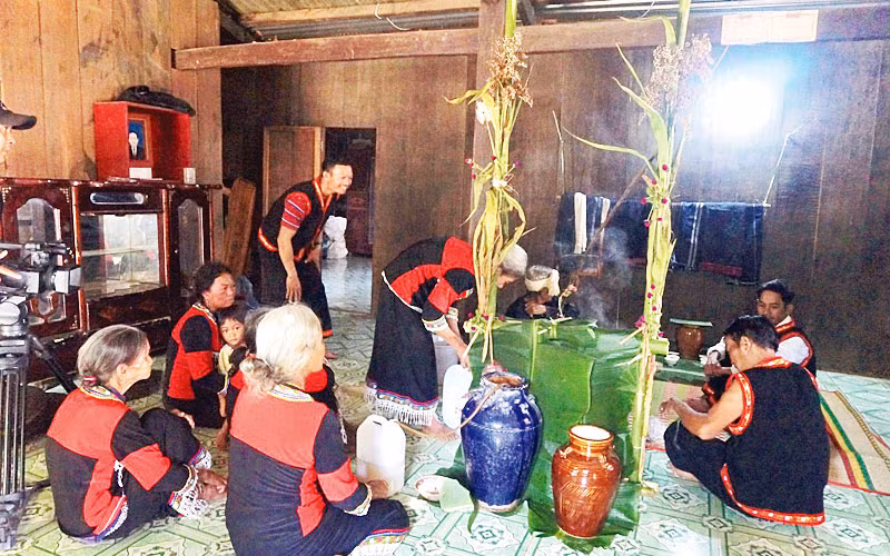 Nghi thức Lễ cúng lúa mới được tổ chức tại gia đình bà Cà Mau Thị Sơn ở thôn Tà Nôi, xã Ma Nới, huyện Ninh Sơn.