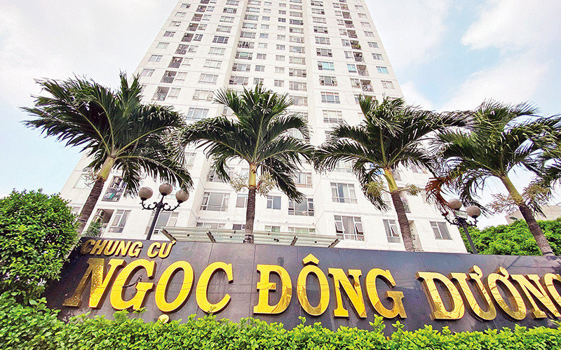 Qua xác minh, bể chứa nước máy của chung cư Ngọc Đông Dương bị “pha loãng” với hệ thống nước giếng khoan làm chất lượng nước bị ô nhiễm.