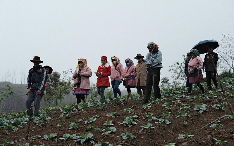 Các bà mẹ người H'Mông trong chuyến học làm nông tại Mộc Châu, Sơn La.