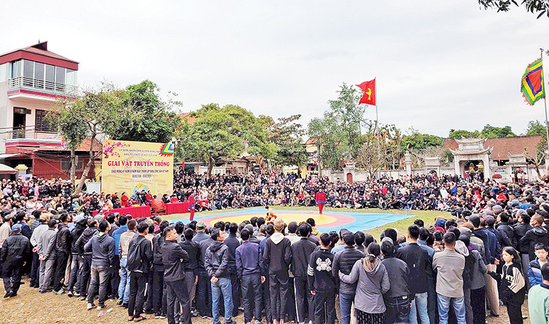 Những sới vật trong lễ hội thu hút đông đảo công chúng mỗi dịp xuân về.