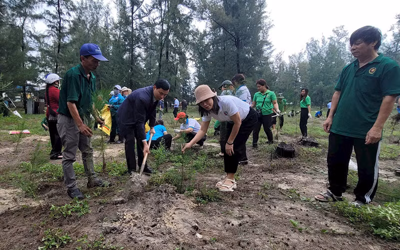 Người dân thành phố Huế tham gia trồng cây trên bãi biển.