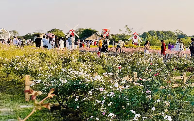 Khách du lịch tham quan vườn hoa trong một dịp Tết tại Hà Nội.