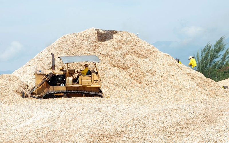 Sản xuất dăm gỗ xuất khẩu tại Công ty TNHH Hào Hưng (Thành phố Hồ Chí Minh).