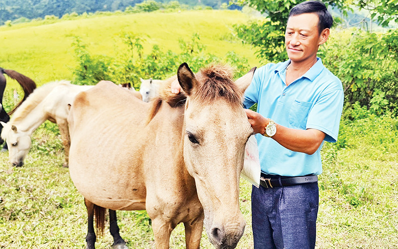 Anh Hồ Chử Vàng - nông dân điển hình làm kinh tế giỏi ở xã Phìn Hồ, huyện Nậm Pồ, tỉnh Điện Biên.