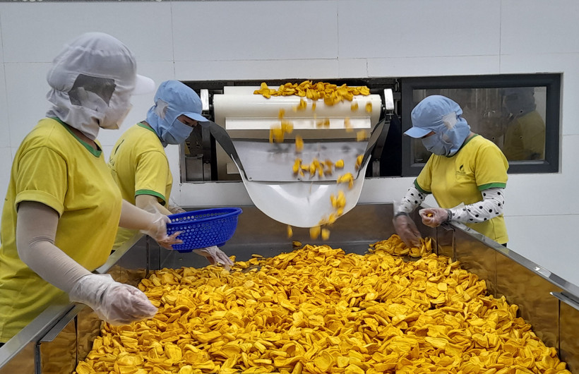 Kim ngạch xuất khẩu hàng hóa của Long An trong 6 tháng đầu năm 2024 tăng 16,5%.