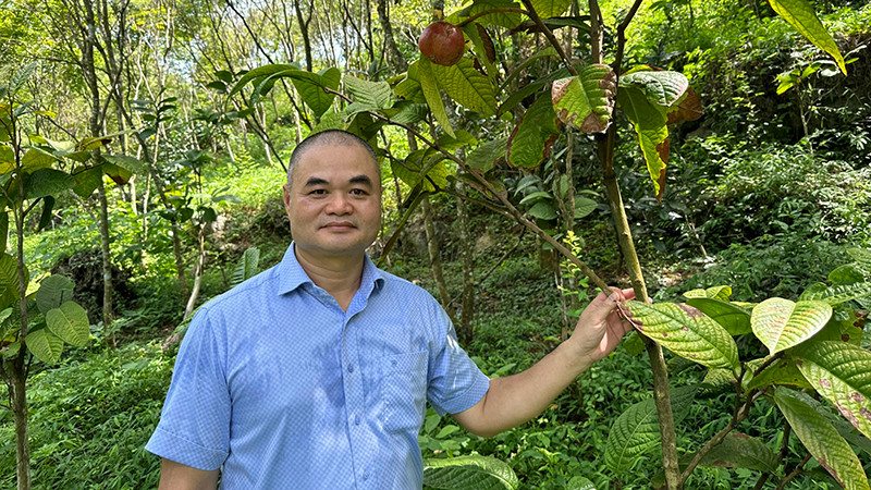 TS Vũ Văn Tâm tại Công viên Trà Hoa vàng, Thung lũng Cổ Ngựa, huyện Nho Quan, Ninh Bình.