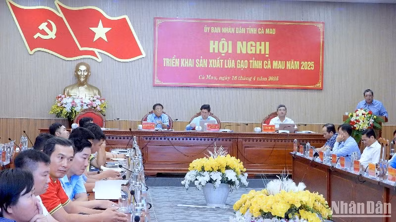 Hội nghị sản xuất lúa gạo tại Cà Mau chiều 18/4.